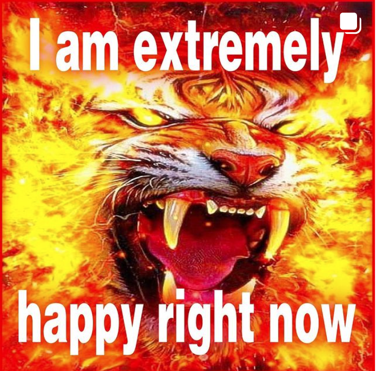 An image of a tiger with flames coming out of its eyes, surrounding its face and open jaw. Text around it reads "I am extremely happy right now."