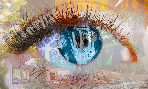 A photo of a blue eye with images of trees and a house superimposed on it